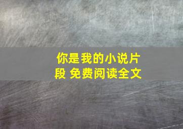 你是我的小说片段 免费阅读全文